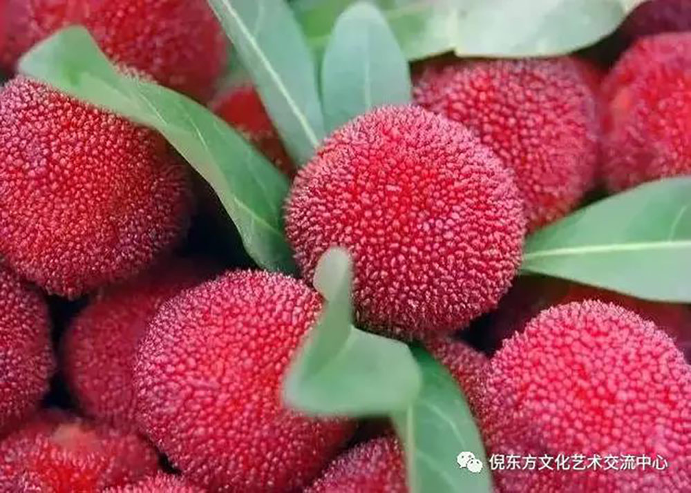 安特儀表集團有限公司