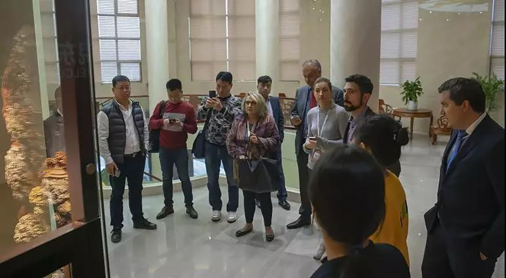 ANTE INSTRUMENT GROUP CO., LTD. ANTE INSTRUMENT GROUP CO., LTD.