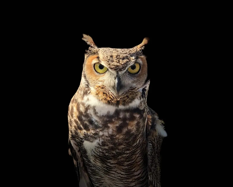 ANTE INSTRUMENT GROUP CO., LTD. ANTE INSTRUMENT GROUP CO., LTD.