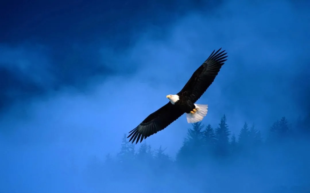 ANTE INSTRUMENT GROUP CO., LTD. ANTE INSTRUMENT GROUP CO., LTD.