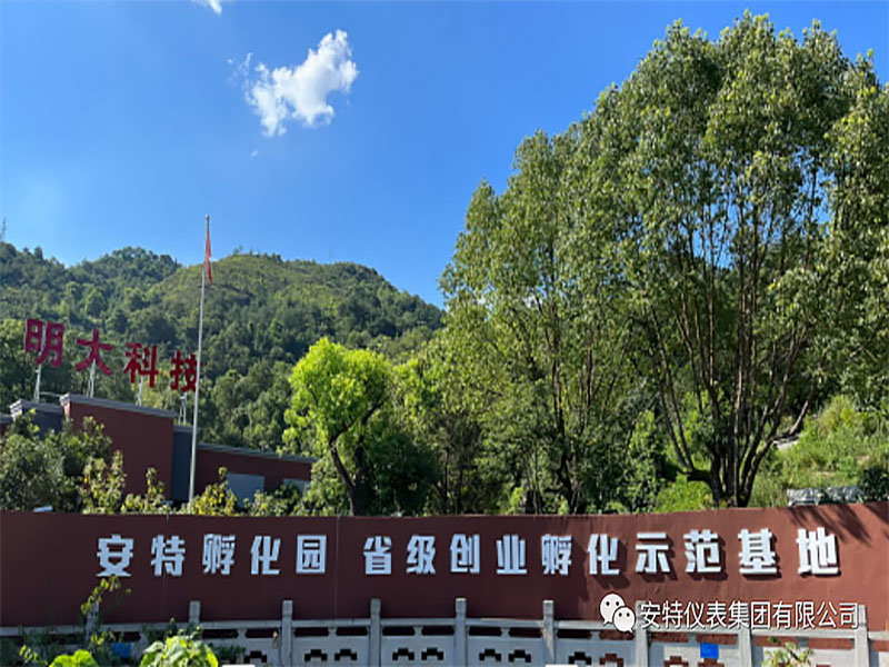 安特儀表集團(tuán)有限公司 安特儀表集團(tuán)有限公司