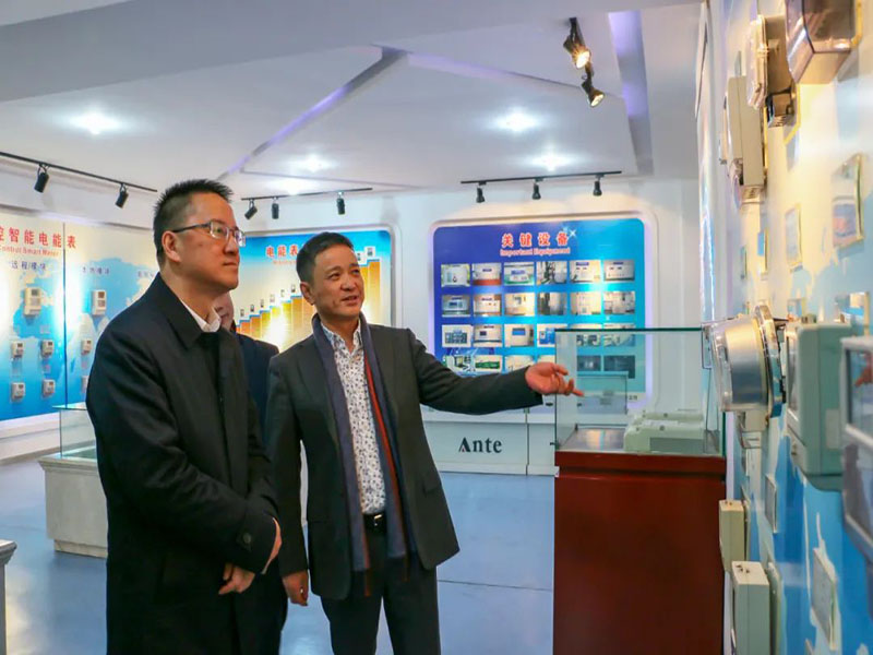 ANTE INSTRUMENT GROUP CO., LTD.