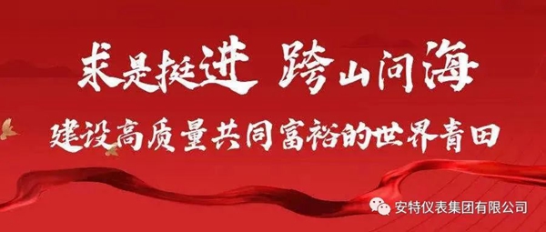 安特儀表集團有限公司 安特儀表集團有限公司