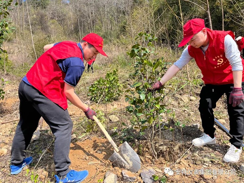 安特儀表集團有限公司 安特儀表集團有限公司