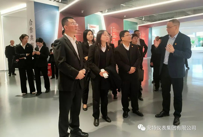 ANTE INSTRUMENT GROUP CO., LTD.