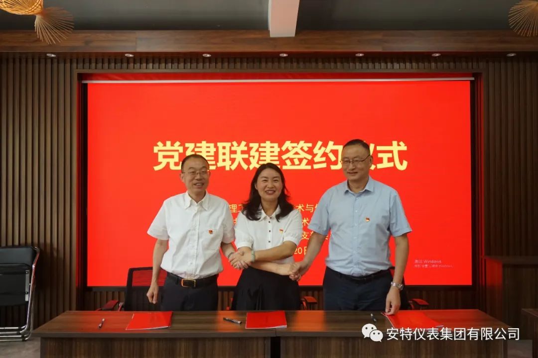 安特儀表集團有限公司 安特儀表集團有限公司