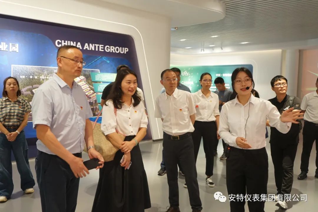 安特儀表集團有限公司 安特儀表集團有限公司