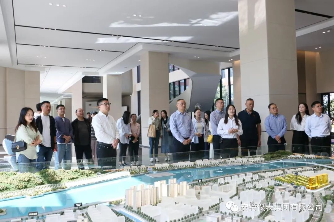 ANTE INSTRUMENT GROUP CO., LTD.