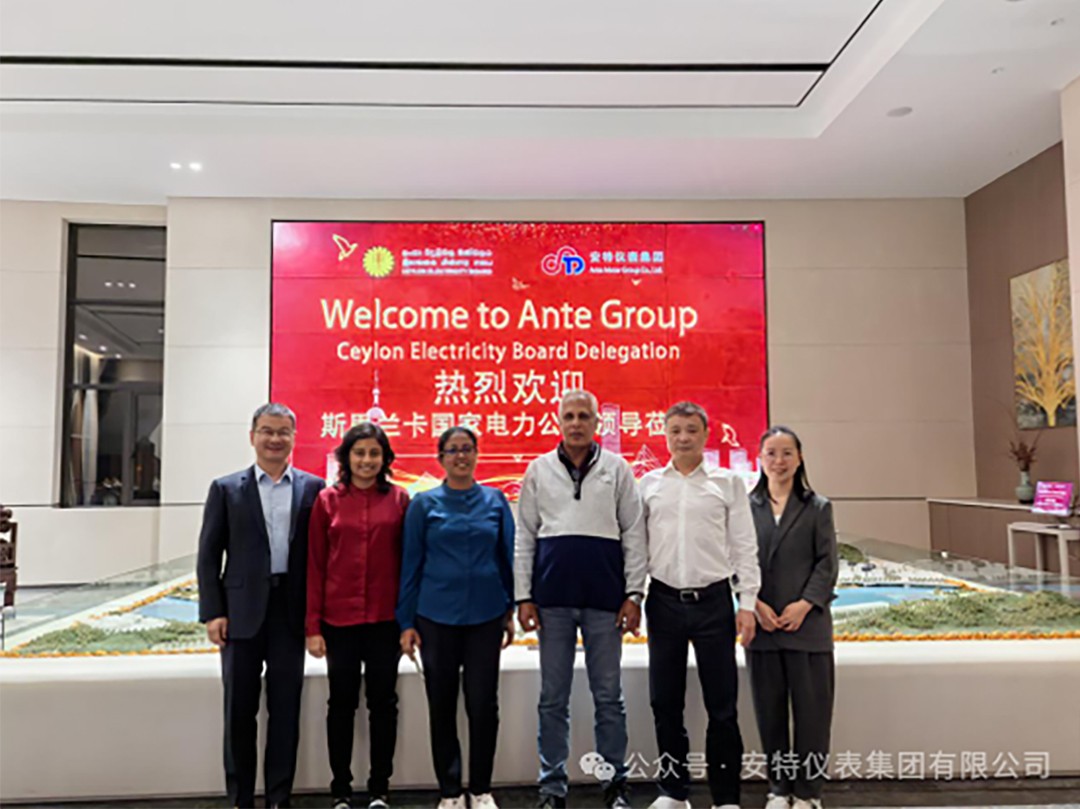 ANTE INSTRUMENT GROUP CO., LTD.