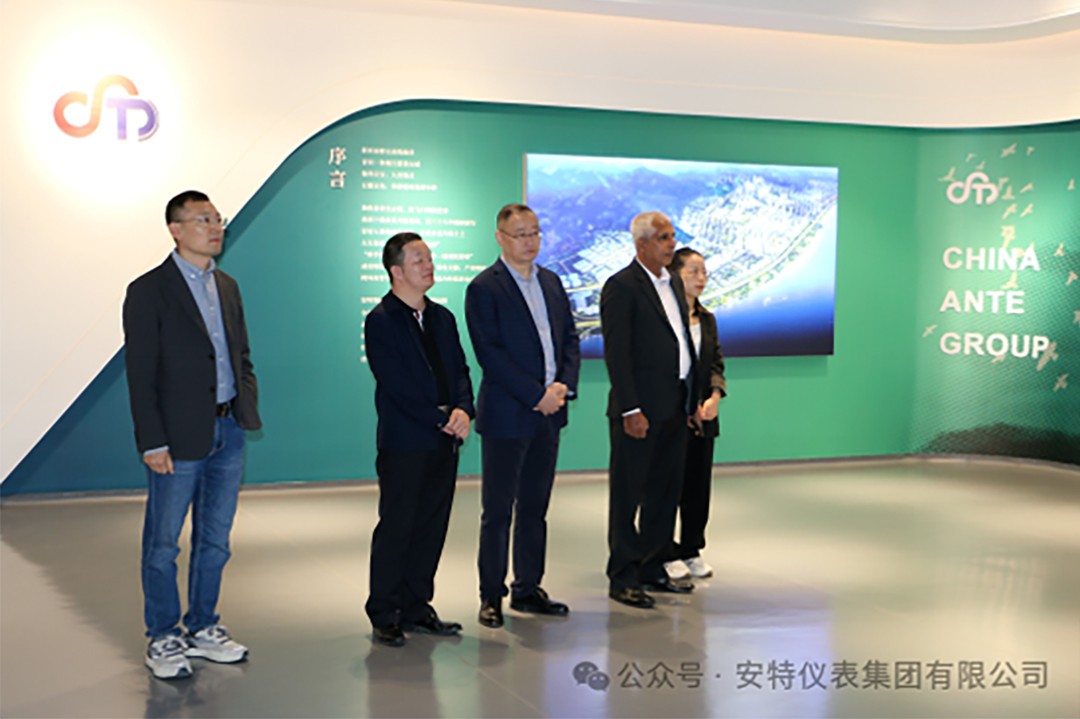 ANTE INSTRUMENT GROUP CO., LTD.