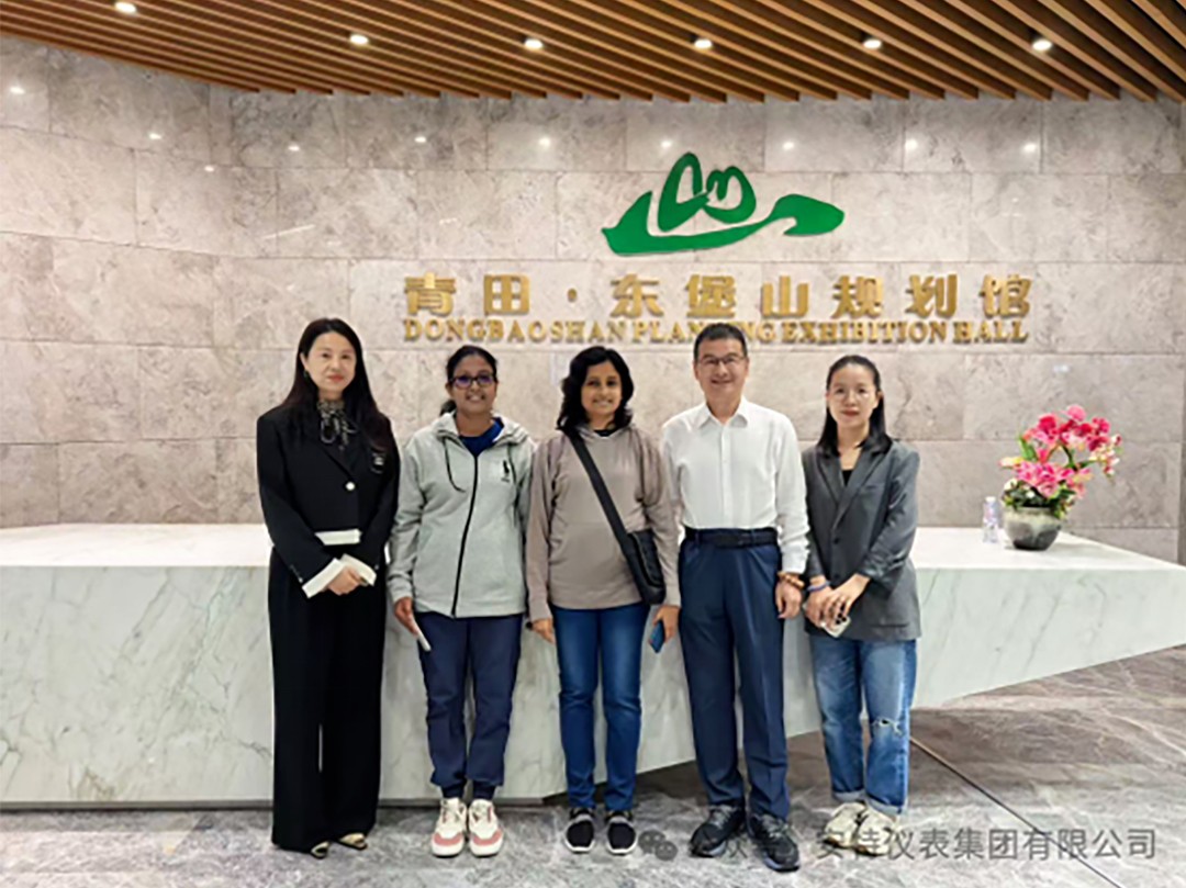 ANTE INSTRUMENT GROUP CO., LTD.