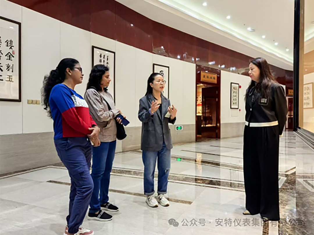 ANTE INSTRUMENT GROUP CO., LTD.