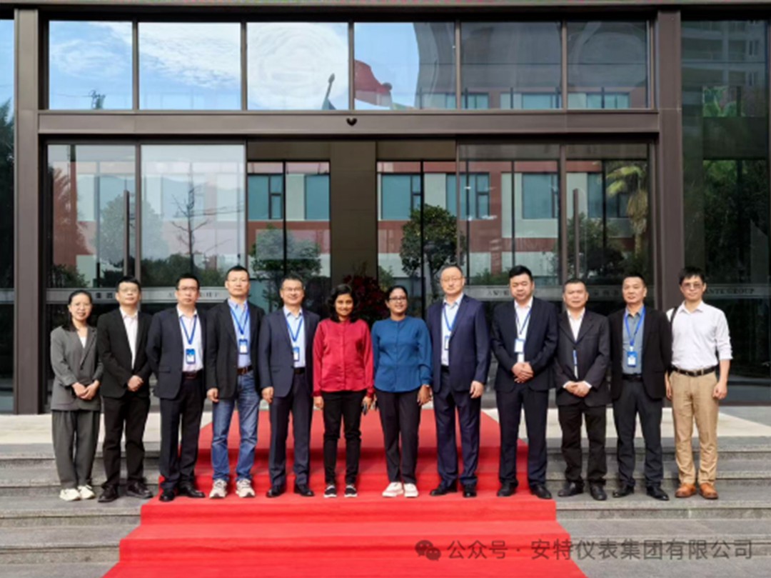 ANTE INSTRUMENT GROUP CO., LTD.