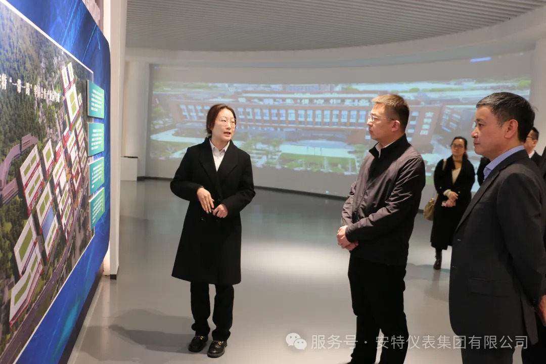 安特儀表集團(tuán)有限公司