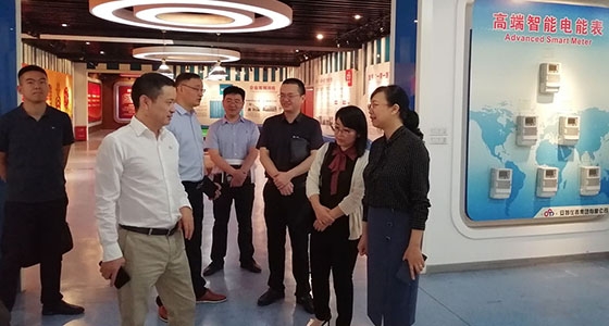 Qingtian County Organization Minister Jin Zhihong investigates the party branch of Ante Park