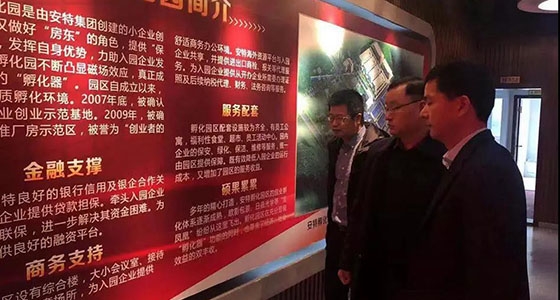 Li Jianjun, deputy director of the Lishui Municipal Bureau of Economics and Information Technology, and his entourage conducted an investigation on Ante Small and Micro Business Incubation Park