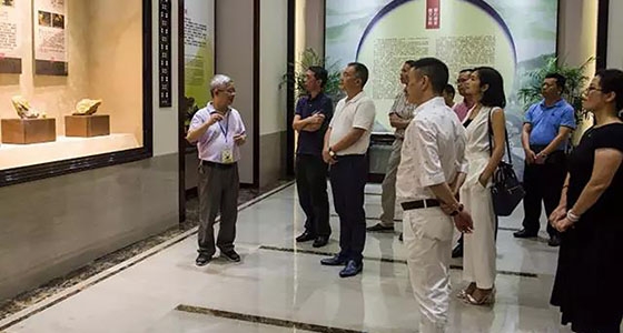 Representatives from the city and county people's congresses visited the library