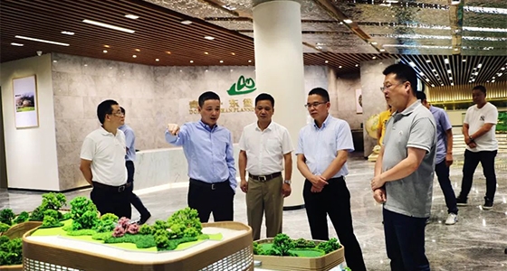 Tao Junyou, miembro del Comité Permanente del Comité del Partido del condado de Qingtian y vicealcalde ejecutivo del condado, y su séquito visitaron el Museo Cultural Chino de Ultramar de Dongbaoshan,