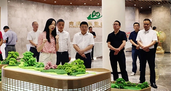 El secretario del Partido del condado de Qingtian, Zhou Heping, inspeccionó e investigó la sala de planificación de Dongbaoshan y dio a conocer la sala de estar del Overseas Chinese Club.