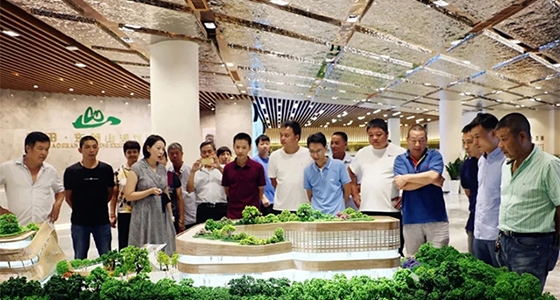 Ounan Street fue al Museo Cultural Chino de Ultramar de Dongbaoshan Museo de Planificación de la Ciudad Ecológica para visitar