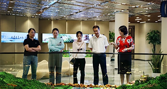 El equipo de supervisión especial para la construcción del gran jardín en la ciudad de Lishui inspeccionó el Museo de Planificación de la Monta?a de Dongbao