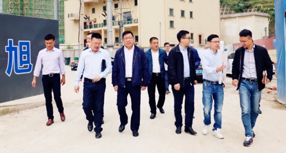 Yin Shifeng, deputy magistrate of Qingtian County, inspected and investigated the Dongbao Mountain Overseas Chinese Cultural Museum Eco-city Project