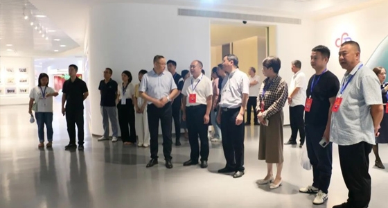 麗水市第五屆人大代表景寧中心組調(diào)研安特集團(tuán)