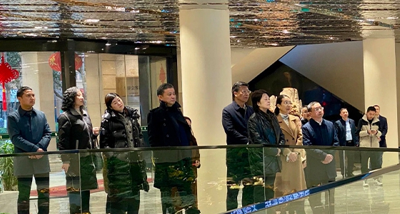 省人大副主任吳晶攜省人大調(diào)研組為東堡山博物館群項目賦能，共繪“世界青田”美好藍(lán)圖