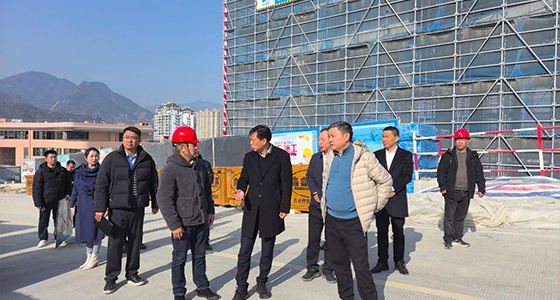 青田縣政協(xié)主席一行視察東堡山華僑文博生態(tài)城項目