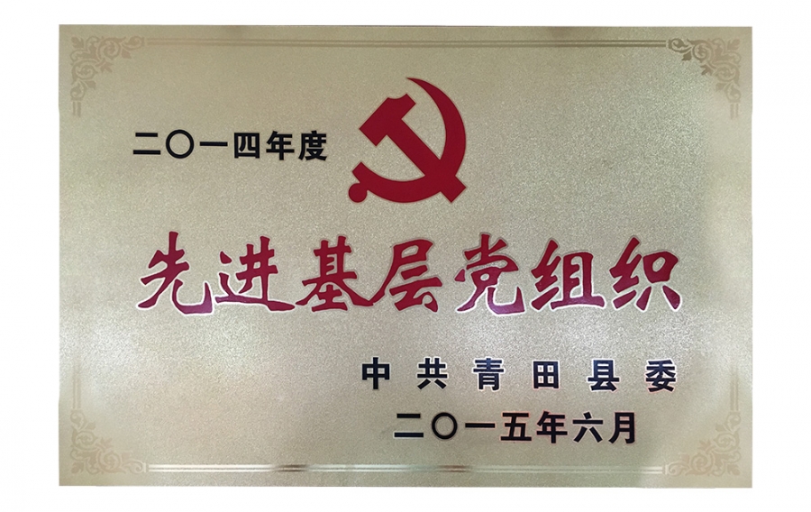 先進(jìn)基層黨組織